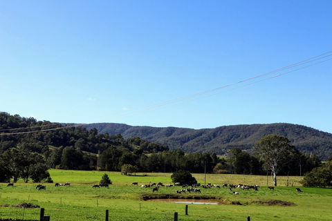 Farm Visit  Dungog - Lightning Ridge Tourism 1