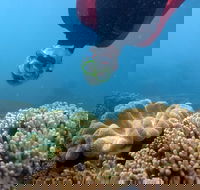 Geoffrey Bay Snorkel Trail - Lightning Ridge Tourism