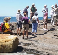 Gondwana Coast Fossil Walk - Lightning Ridge Tourism