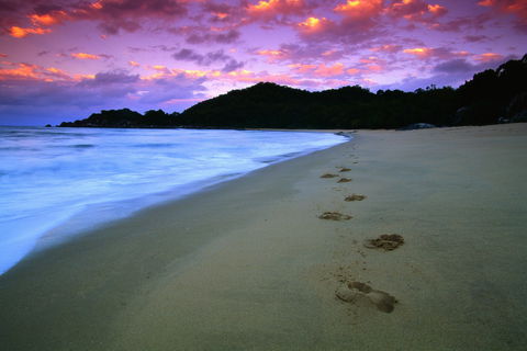 Hinchinbrook Island National Park - Lightning Ridge Tourism 2