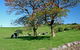 Historic Dry Stone Walls Kiama - thumb 0