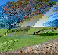 Historic Dry Stone Walls Kiama - Lightning Ridge Tourism