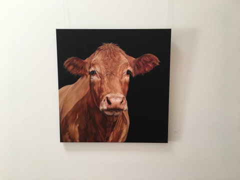 Ivy Hill Gallery - Lightning Ridge Tourism 2