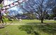 Koshigaya Park - thumb 0