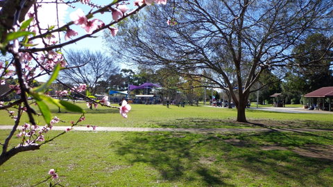 Koshigaya Park - Lightning Ridge Tourism 0
