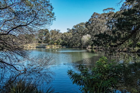 Lake Alexandra Reserve - Lightning Ridge Tourism 1