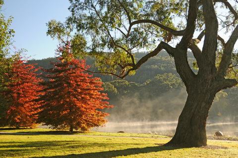 Lake Alexandra Reserve - Lightning Ridge Tourism 2