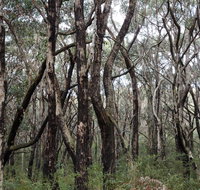 Lookout Hill  Circuit Walk - Lightning Ridge Tourism