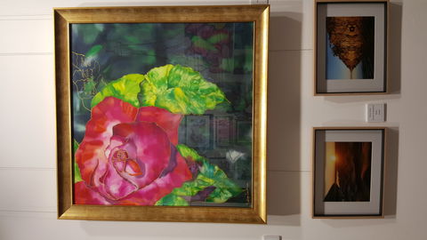 Macleay Valley Community Art Gallery - Lightning Ridge Tourism 0
