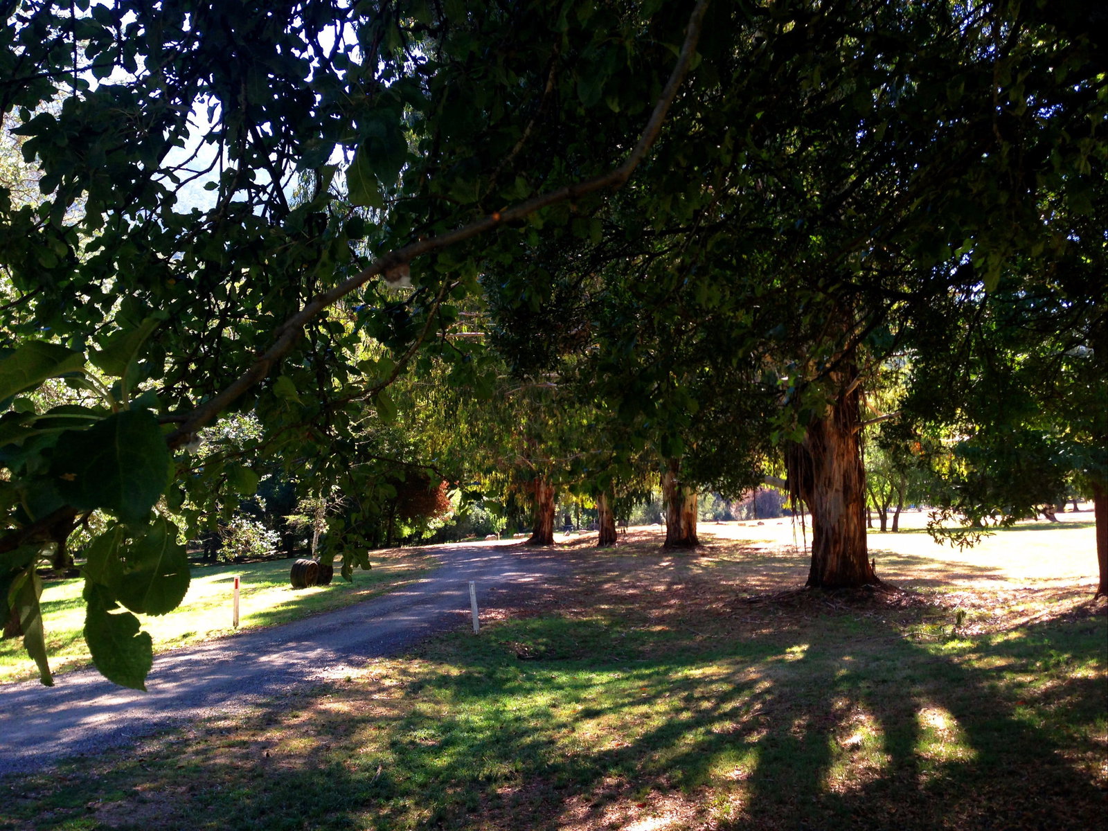 Mirimbah VIC Lightning Ridge Tourism