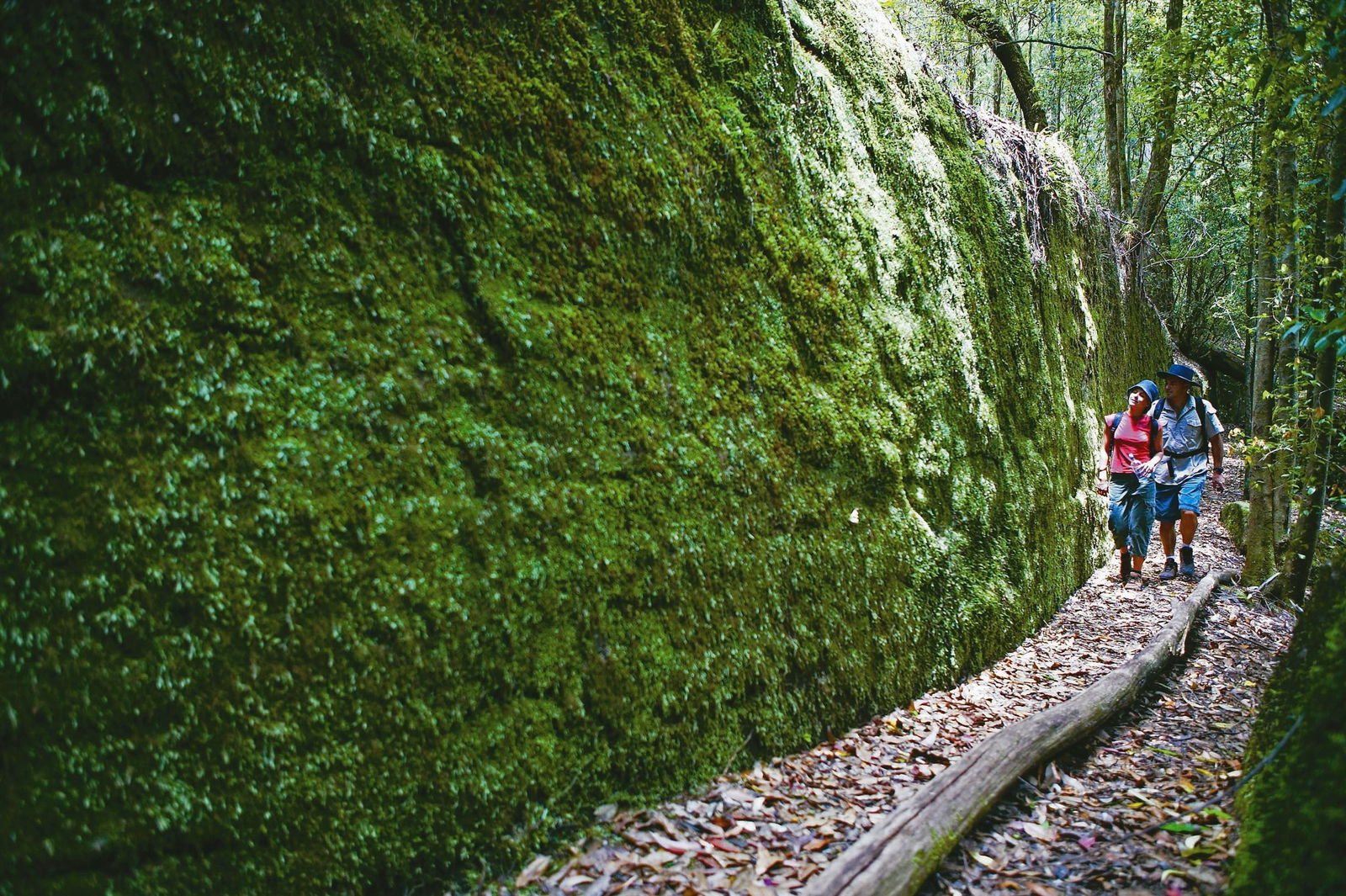 Morisset NSW Lightning Ridge Tourism