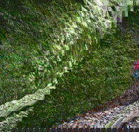 Morisset - Lightning Ridge Tourism