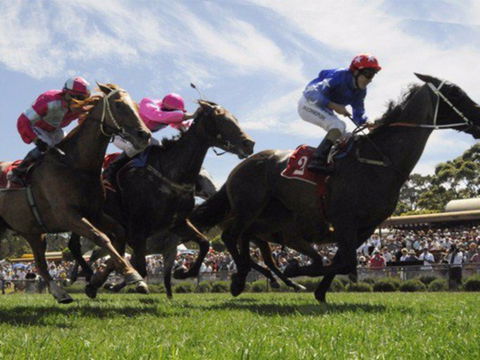 Moruya Racecourse - Lightning Ridge Tourism 0