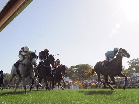 Moruya Racecourse - Lightning Ridge Tourism 1