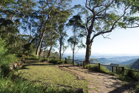 Morans Falls Track, Lamington National Park - Lightning Ridge Tourism 1