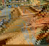 Mountain Maid gold mine - Lightning Ridge Tourism