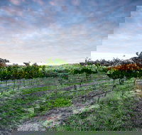 Nature and Foodies Trail - Lightning Ridge Tourism