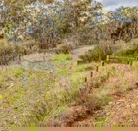 Old Mountain Road Walking Track - Lightning Ridge Tourism