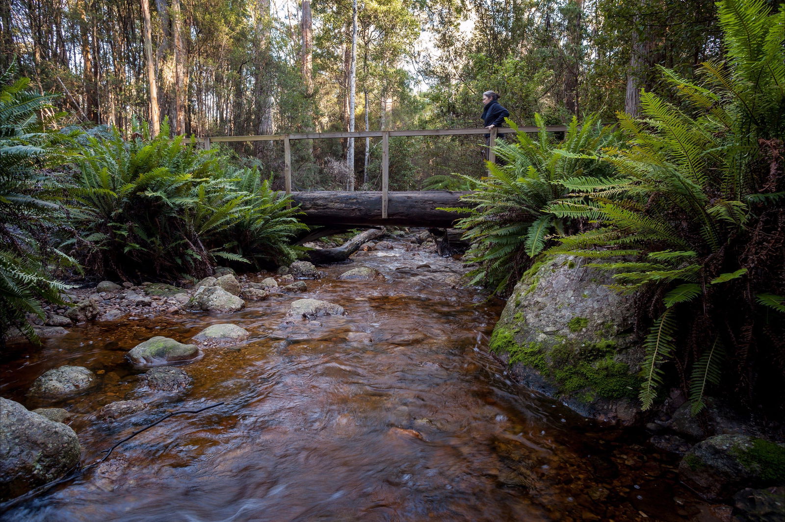 Gowrie Park TAS Lightning Ridge Tourism