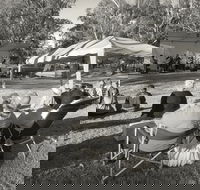 Pioneer Park - Lightning Ridge Tourism