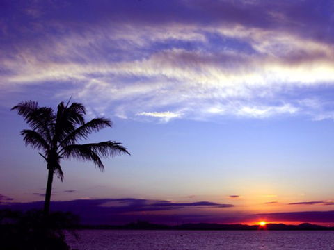 Quoin Island Retreat And Turtle Rehabilitation Centre - Lightning Ridge Tourism 0