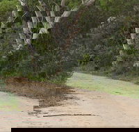 Riverview walking track - Lightning Ridge Tourism