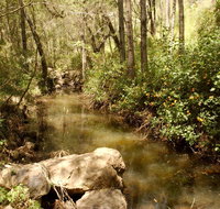 Sandy Creek Track - Lightning Ridge Tourism