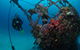 Severance Shipwreck Dive Site - thumb 0