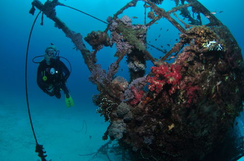 Severance Shipwreck Dive Site - Lightning Ridge Tourism 0