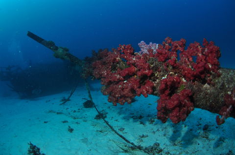 Severance Shipwreck Dive Site - Lightning Ridge Tourism 2