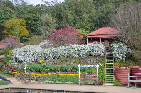 Spring Bluff Railway Station - Lightning Ridge Tourism 1