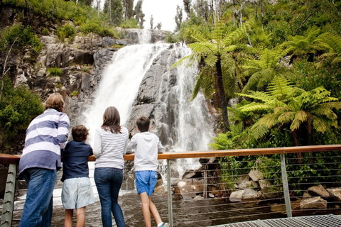 Steavenson Falls - Lightning Ridge Tourism 0