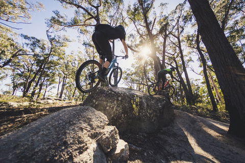St Helens Mountain Bike Trails - Lightning Ridge Tourism 1