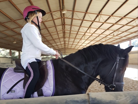 The Equine Club - Lightning Ridge Tourism 1