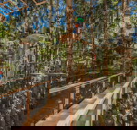 TreeTops Sydney The Hills - Lightning Ridge Tourism