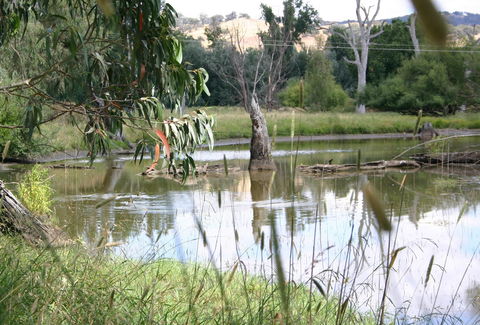 Tumut Wetlands - Lightning Ridge Tourism 0