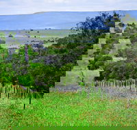 Wild Dog Barrier Fence - Lightning Ridge Tourism