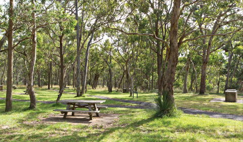 Wollomombi Gorge And Falls Picnic Area - Lightning Ridge Tourism 0