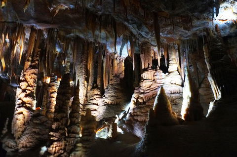Jenolan Caves: Orient Cave Tour - Lightning Ridge Tourism 2