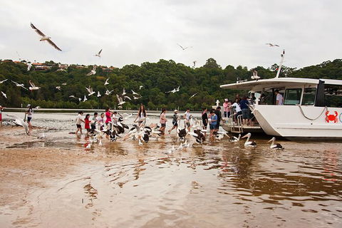 Catch A Crab Tour With Optional Seafood Lunch - Lightning Ridge Tourism 1