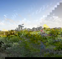Mclaren Vale - Lightning Ridge Tourism