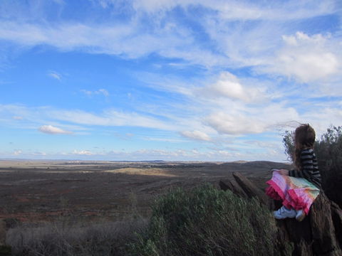Sundown Nature Trail - Lightning Ridge Tourism 1