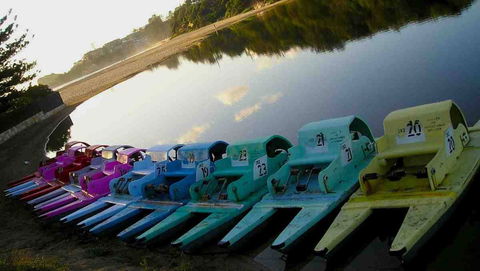 Terrigal Paddle Boats And Stand Up Paddle Boards - Lightning Ridge Tourism 0