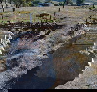 Wangaraleednie Monument  Ruins - Lightning Ridge Tourism