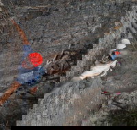 Small-Group Weekend Rock Climbing Adventure from Katoomba - Lightning Ridge Tourism