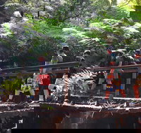 Glow Worm Tunnel Hike - Lightning Ridge Tourism