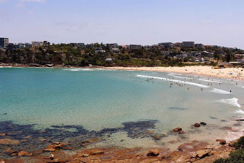 Half Day Manly Beach And More - Lightning Ridge Tourism 11