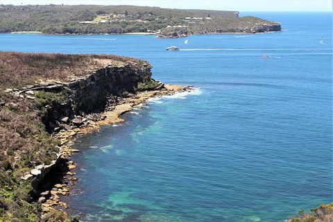 Half Day Manly Beach And More - Lightning Ridge Tourism 9