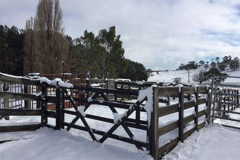 Paddock To Plate Farm Tour And Tasting - Lightning Ridge Tourism 11