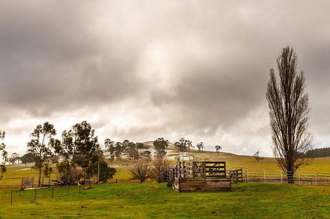 Paddock To Plate Farm Tour And Tasting - Lightning Ridge Tourism 0